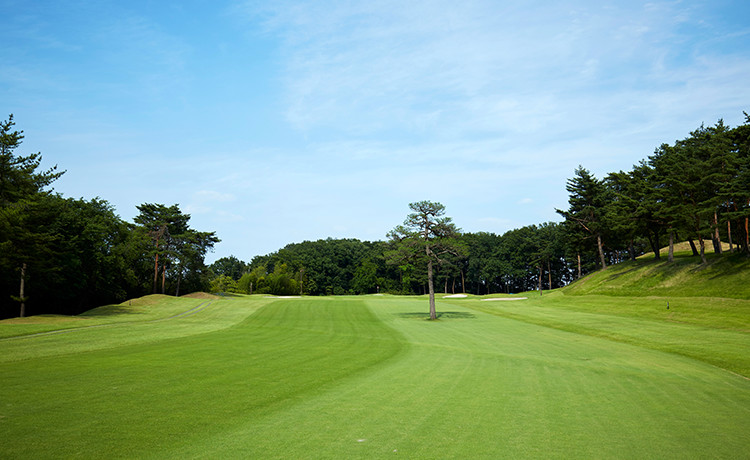 ホール1：イメージ写真