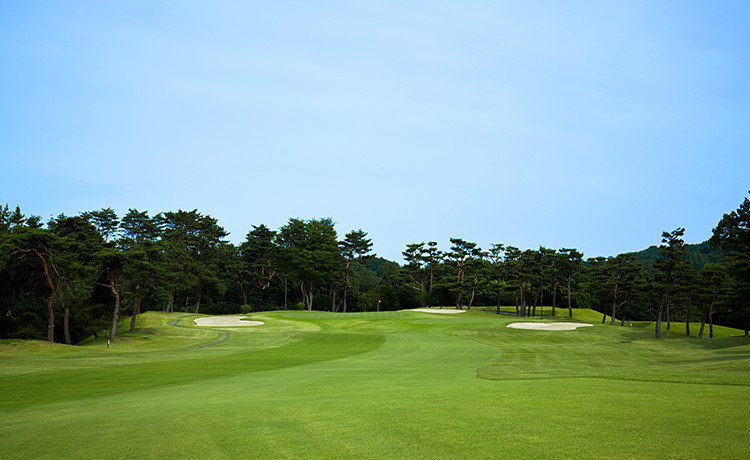 ホール1：イメージ写真