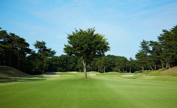 ホール1：イメージ写真