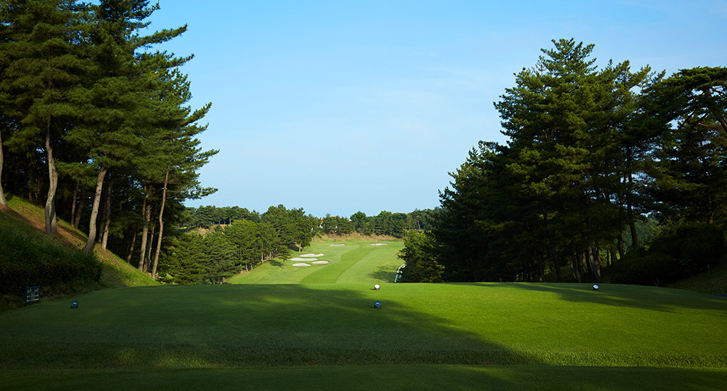 ホール1：イメージ写真